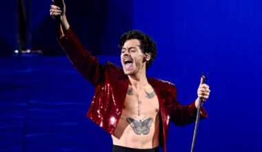 Harry Styles Falls on Stage During Second Mexico City Concert