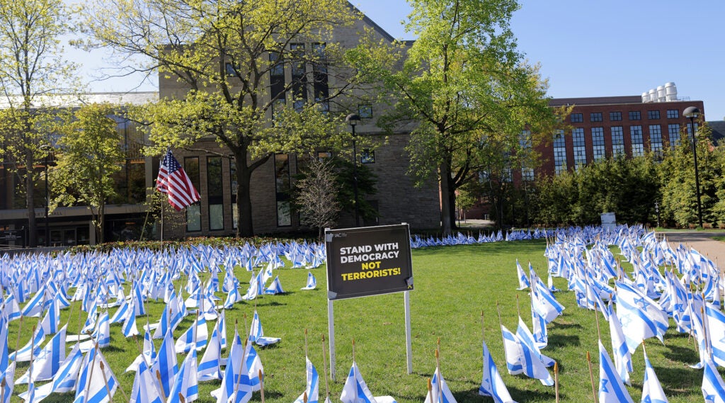 A photo of Israeli flag sticking out of grass.