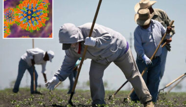 Mass measles outbreak threatens Central Valley after farmworkers left Arizona