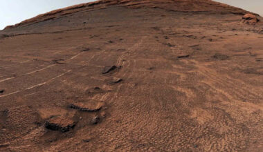 NASA’s Curiosity Rover Discovers Massive Honeycomb-Like Patterns on Mars: ‘Took Our Breath Away’