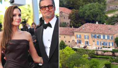 Brad Pitt’s French Winery, at Center of His Years-Long Court Battle with Angelina Jolie, Threatened by Wildfires