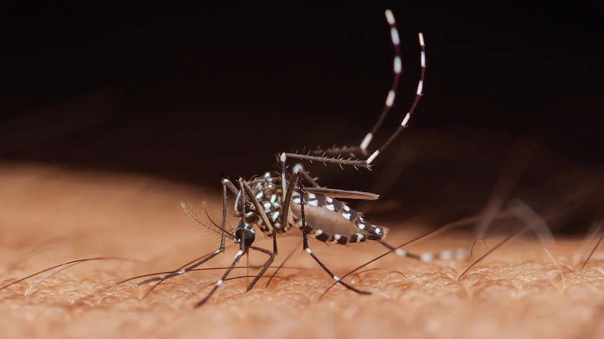 West Nile hits 12 New Jersey counties, and officials warn mosquitoes are 'the deadliest animal'