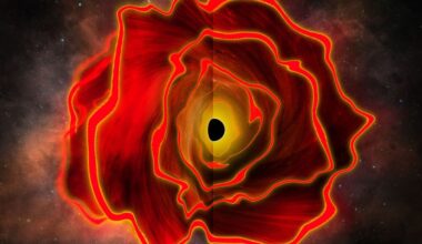 Black hole star? Solar-system-size 'dot' from the early universe is our best evidence yet of a brand-new type of cosmic object