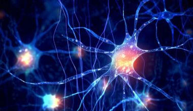 Scientists invent a gel that creates neurons from other cells, which could help treat Alzheimer's