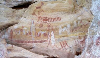 Strange Holes in Ancient Sloth Bones May Rewrite Human History
