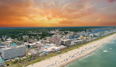 14-foot great hammerhead washes ashore twice on a North Carolina beach