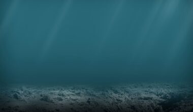 Mysterious seafloor bones off Taiwan suggest Denisovans stood over 6-foot tall