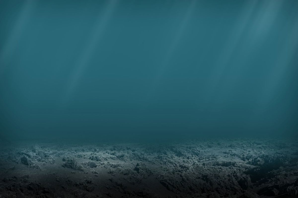 Mysterious seafloor bones off Taiwan suggest Denisovans stood over 6-foot tall