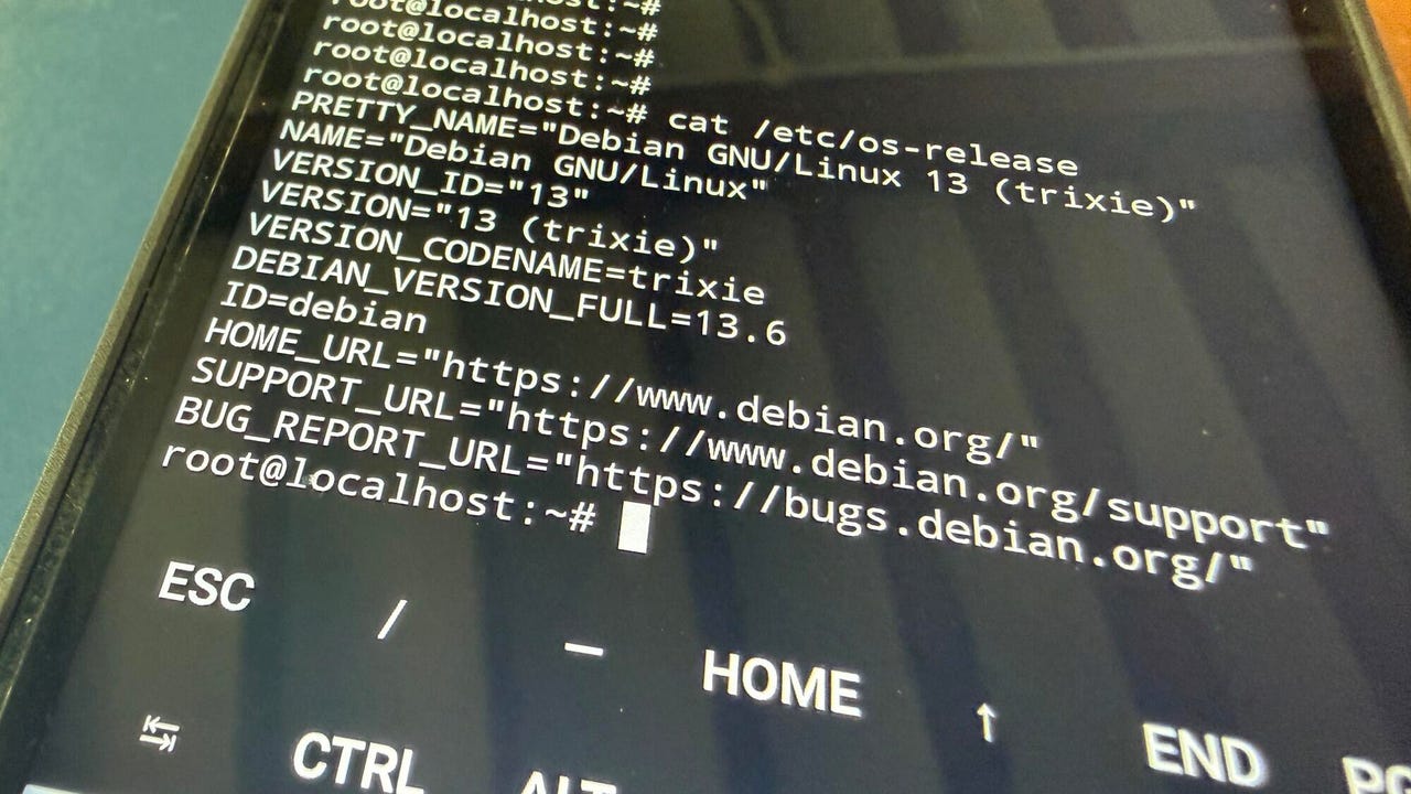 OK, it's not Raspberry Pi OS, but Linux Debian is what that OS is based on.