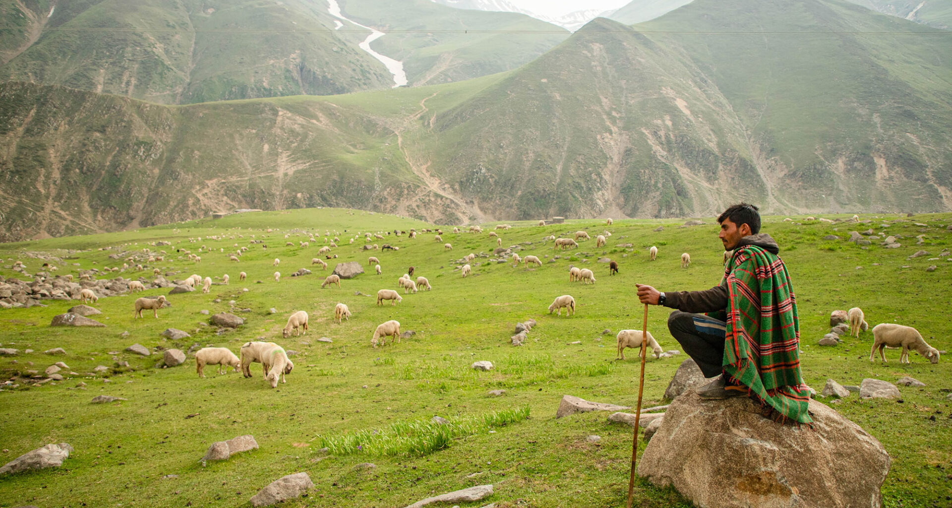 Living with drought has taught pastoralists lessons the world needs