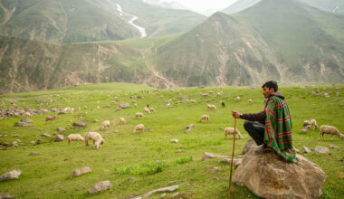 Living with drought has taught pastoralists lessons the world needs