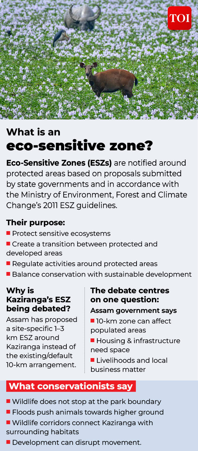 Assam has proposed a site-specific 1–3 km ESZ around Kaziranga instead of the default 10-km zone. Kaziranga