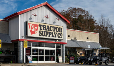 10 Practical Camping Gadgets Worth Buying From Tractor Supply