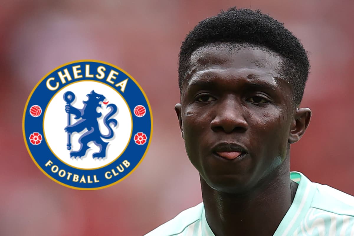 Chelsea identify two Fernandez replacements ahead of transfer deadline - London Evening Standard