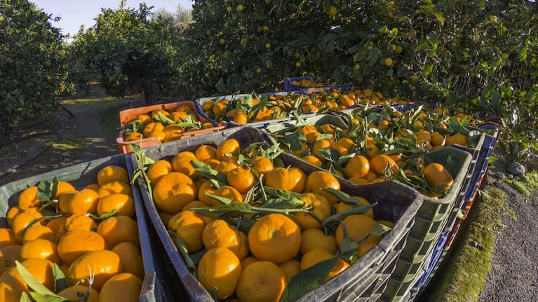 Eating in sync with the seasons is a great way to save.