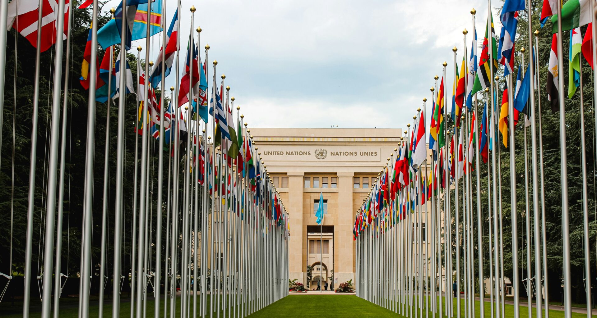 A House Divided: The Ninth Review of the Global Counter-Terrorism Strategy and the Future of UN Counter-Terrorism | International Centre for Counter-Terrorism