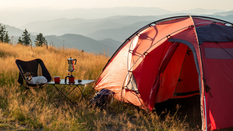 A camping setup on top of a mountain