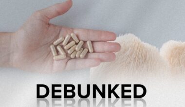 News24 compared 21 lion’s mane listings on shelves in South Africa, and the scientific claims attached to them.