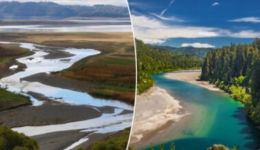 California tribes lead charge to restore river after dam closure