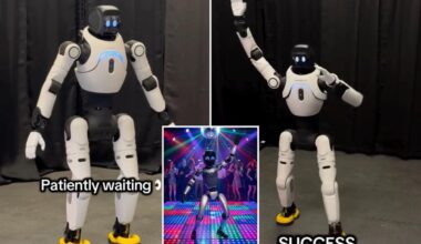 Texas company hits party circuit with robot escorts for special occasions