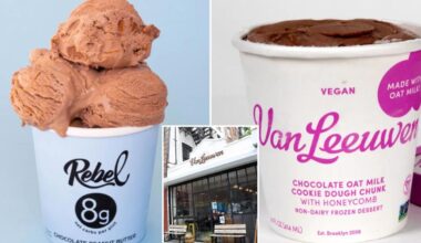 Rebel Creamery files for bankruptcy after losing $23.8M Van Leeuwen Ice Cream packaging battle