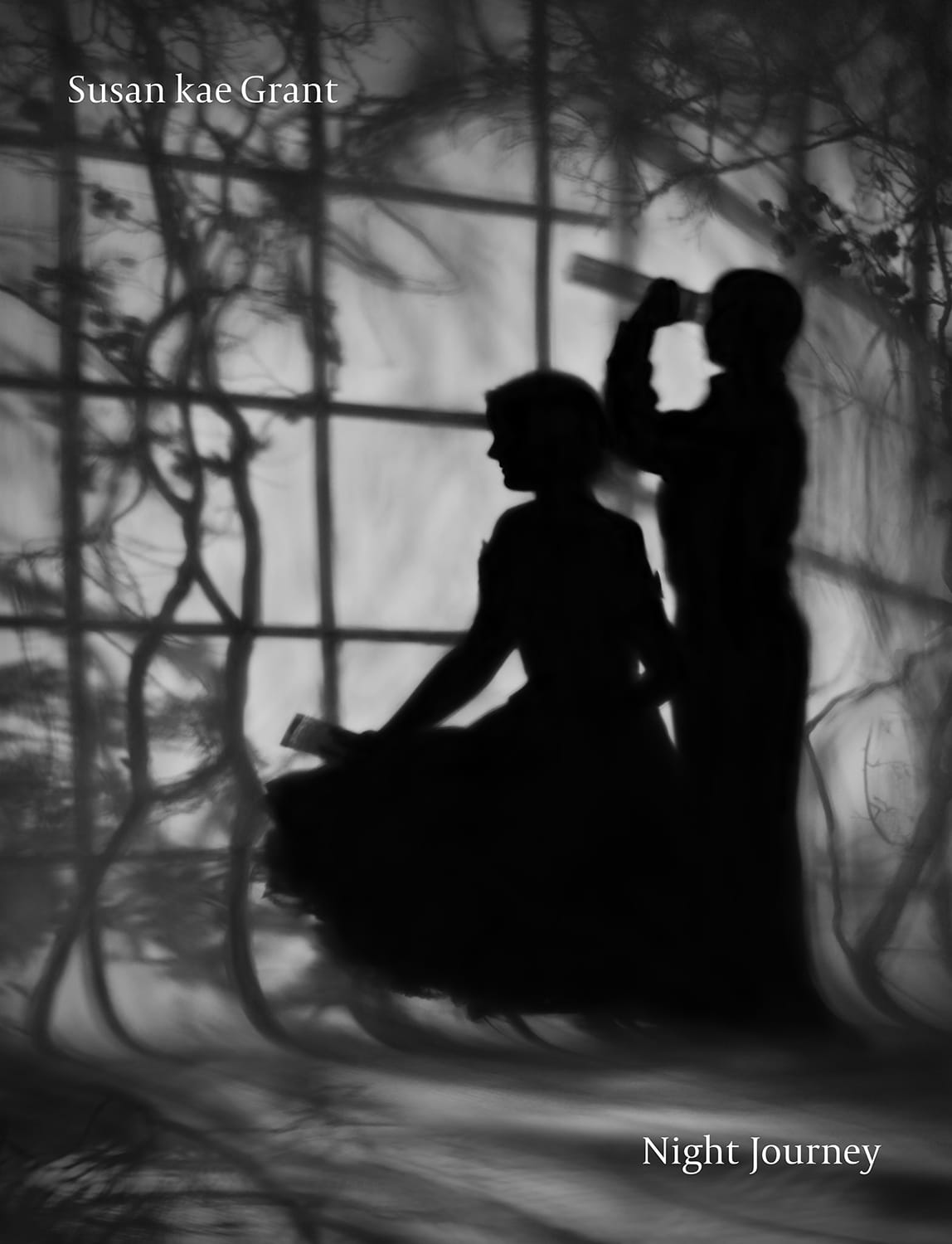a black-and-white photograph that's the cover of a book titled 'Night Journey' by Susan kae Grant, featuring a silhouetted dream-like scene of two figures, one holding a spyglass and the other seated