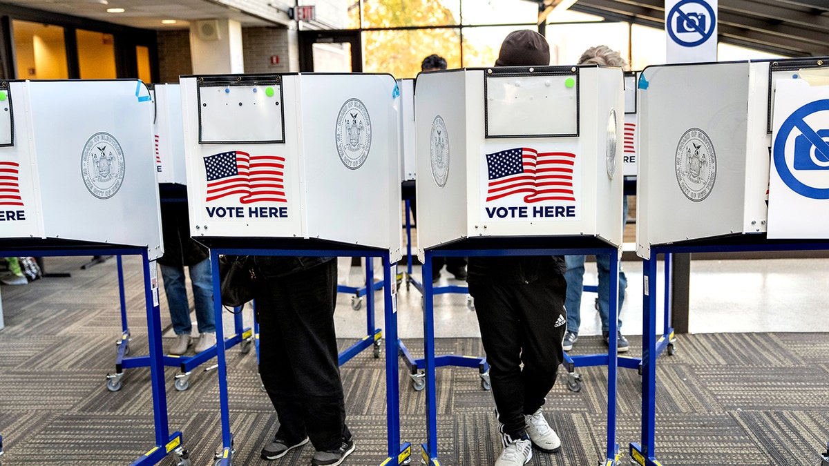 Voters cast their ballot