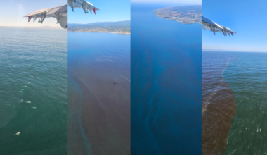 Four panels of image look at the ocean from a plane window. The water is various shades of teal, deep blue, and red.