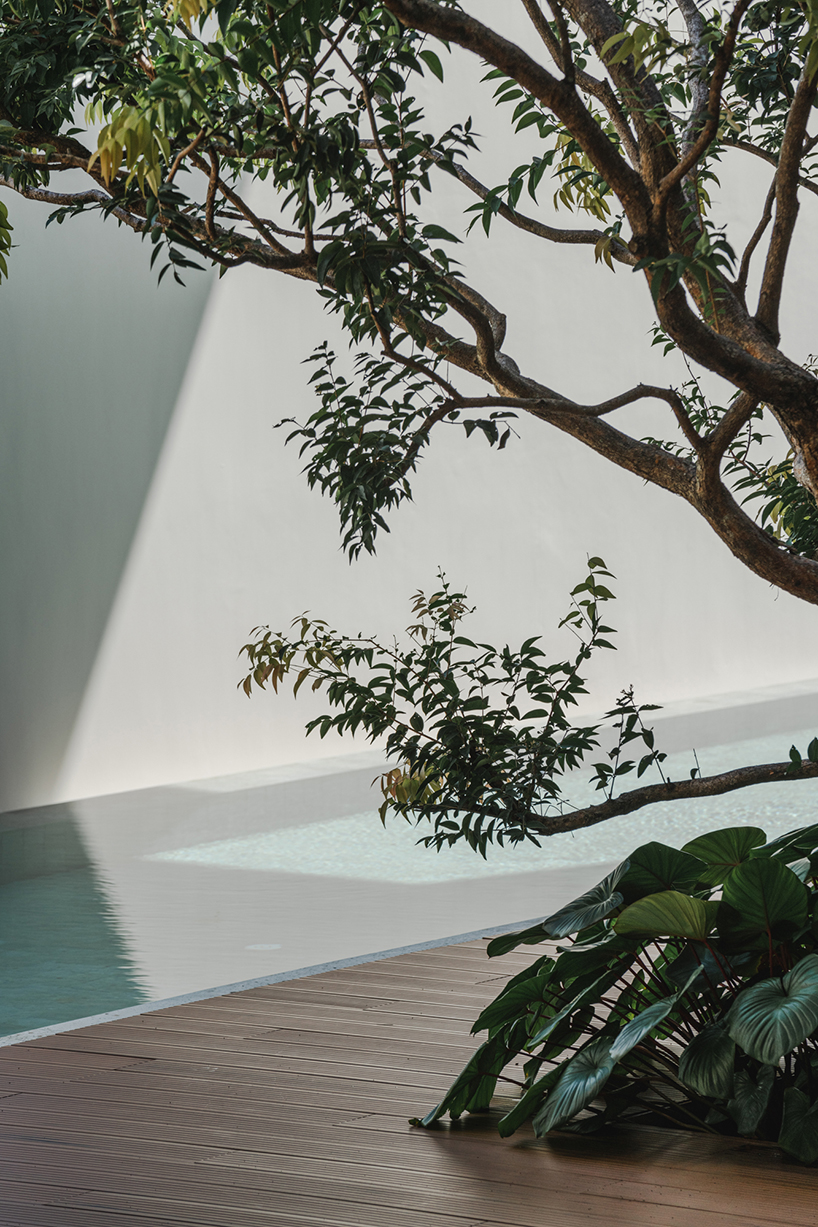 planted terraces outline vertically organized house by anonym studio in bangkok - 3
