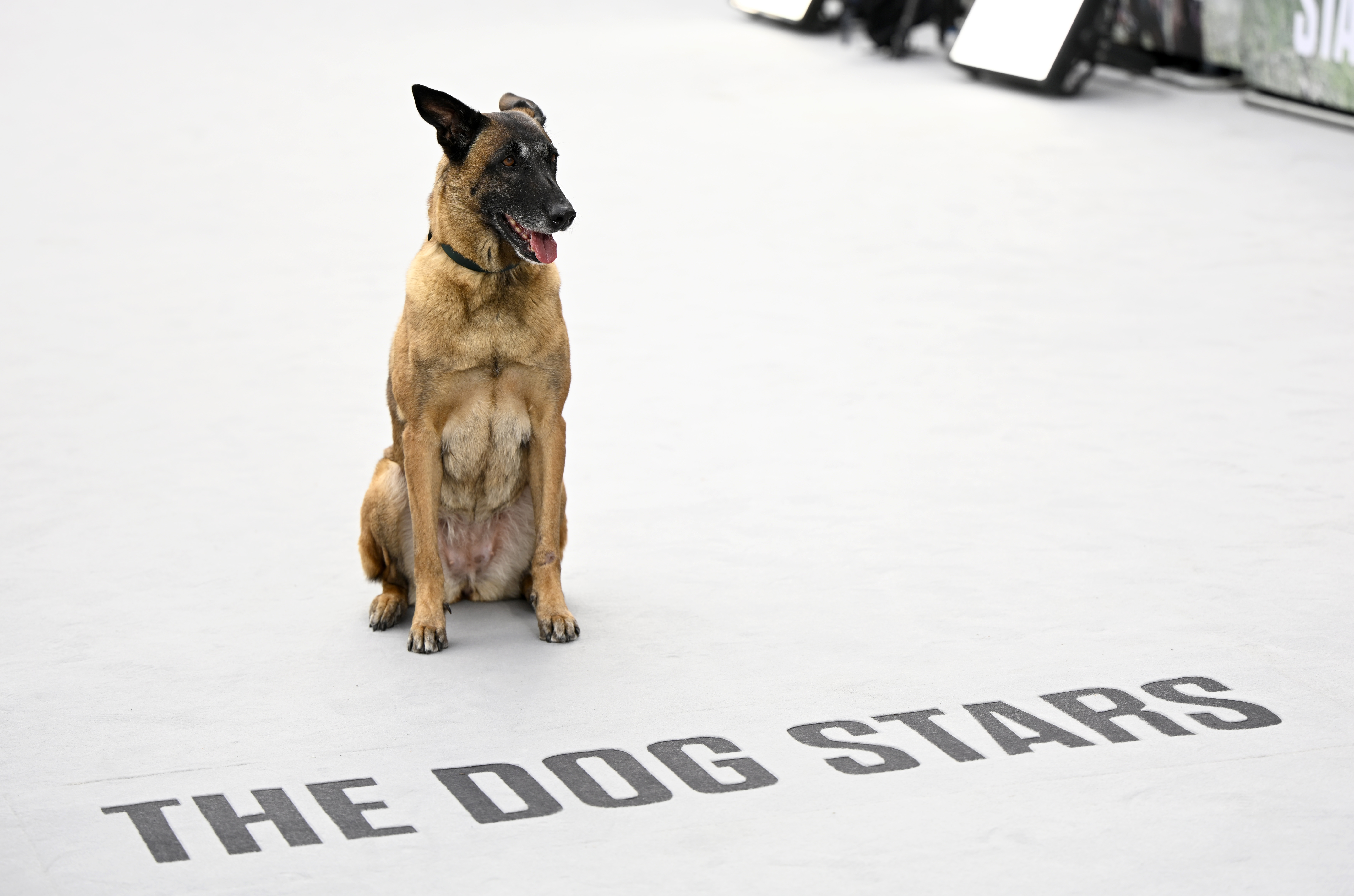 Rak Jasper, "The Dog Stars" World Premiere Red Carpet