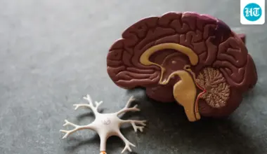Want to protect your brain as you age? Neurologist Dr Arun Shah shares 3 lifestyle changes that may lower dementia risk