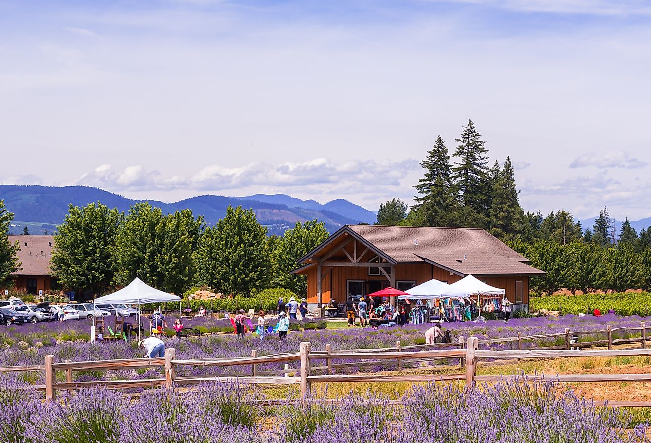 9 Most Breathtaking Towns In The United States