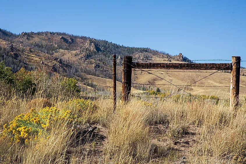 Open ranch land stretching toward low mountains in Wyoming.