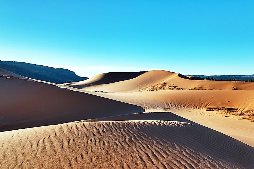 Wind-sculpted coral pink sand dunes under a clear sky in southern Utah.