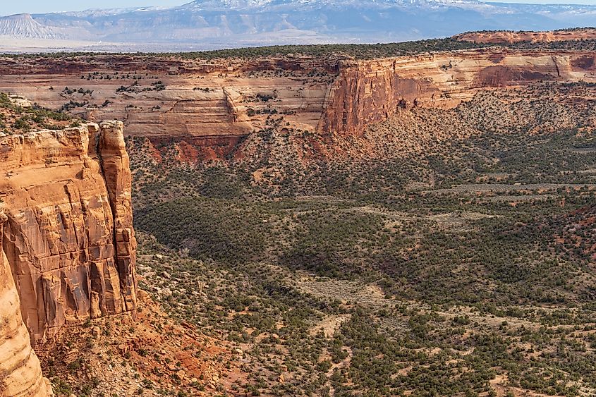 Aerial view of red rock canyons at Colorado National Monument near Fruita, Colorado.