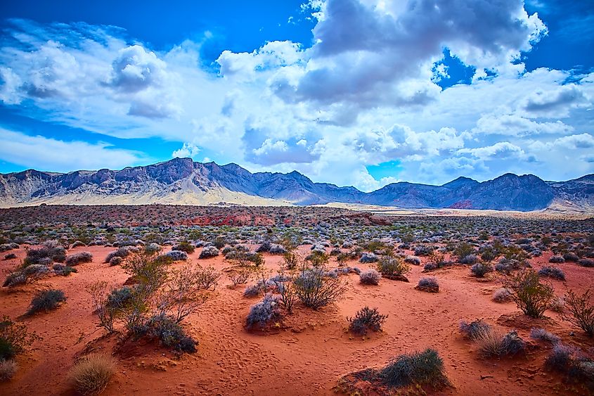Red sandstone formations and distant mountains across the arid Nevada desert.
