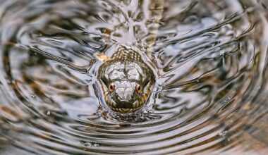 4 Most Snake-Filled Bodies Of Water In Massachusetts