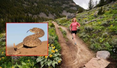 Watch Where You Walk In Sinks Canyon, Which Is Loaded With Prairie Rattlesnakes