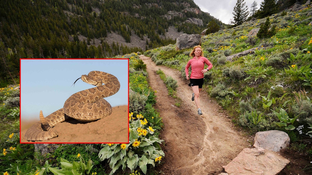 Watch Where You Walk In Sinks Canyon, Which Is Loaded With Prairie Rattlesnakes