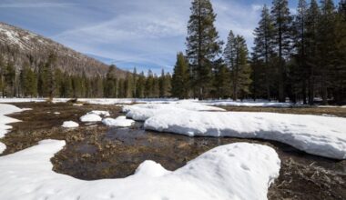 Climate Change Has Unleashed an Entirely New Type of Heatwave: The 'Snow Eater'