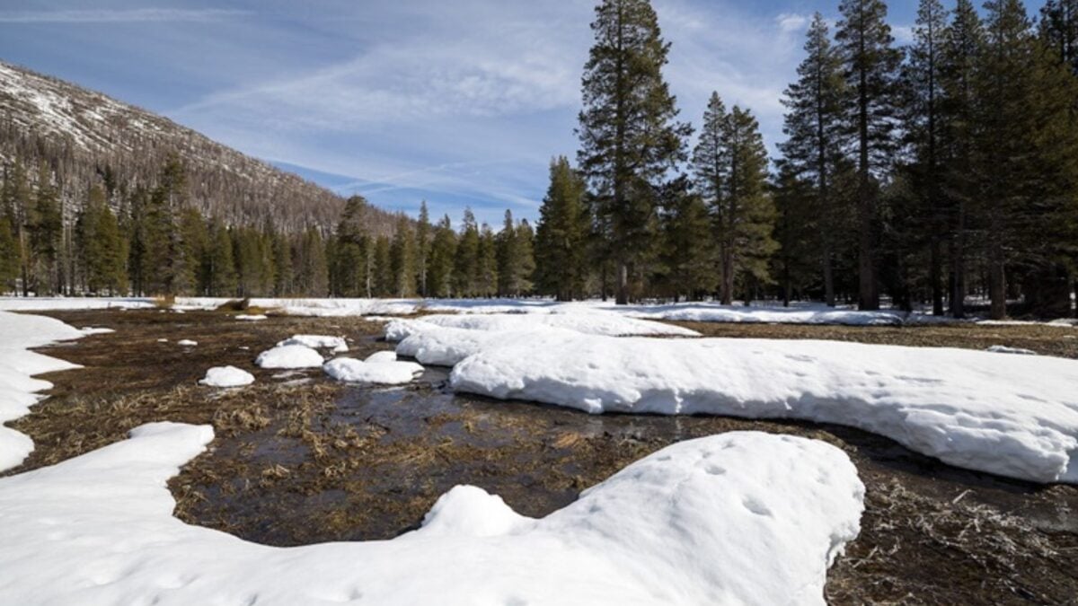 Climate Change Has Unleashed an Entirely New Type of Heatwave: The 'Snow Eater'