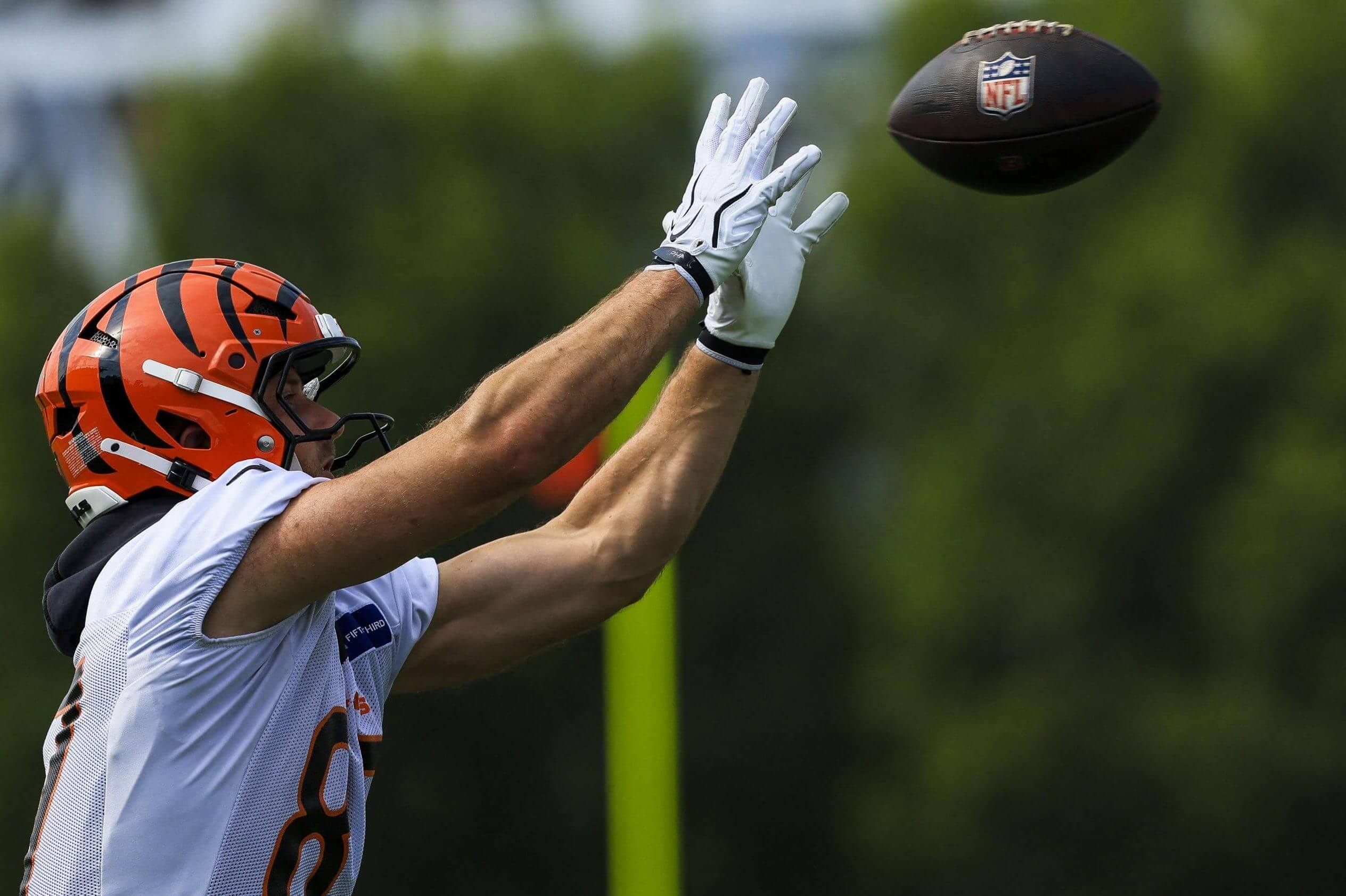 Cincinnati Bengals tight end Tanner Hudson catches a pass during training camp at Kettering Health Practice Fields on July 29, 2026, in Cincinnati, Ohio