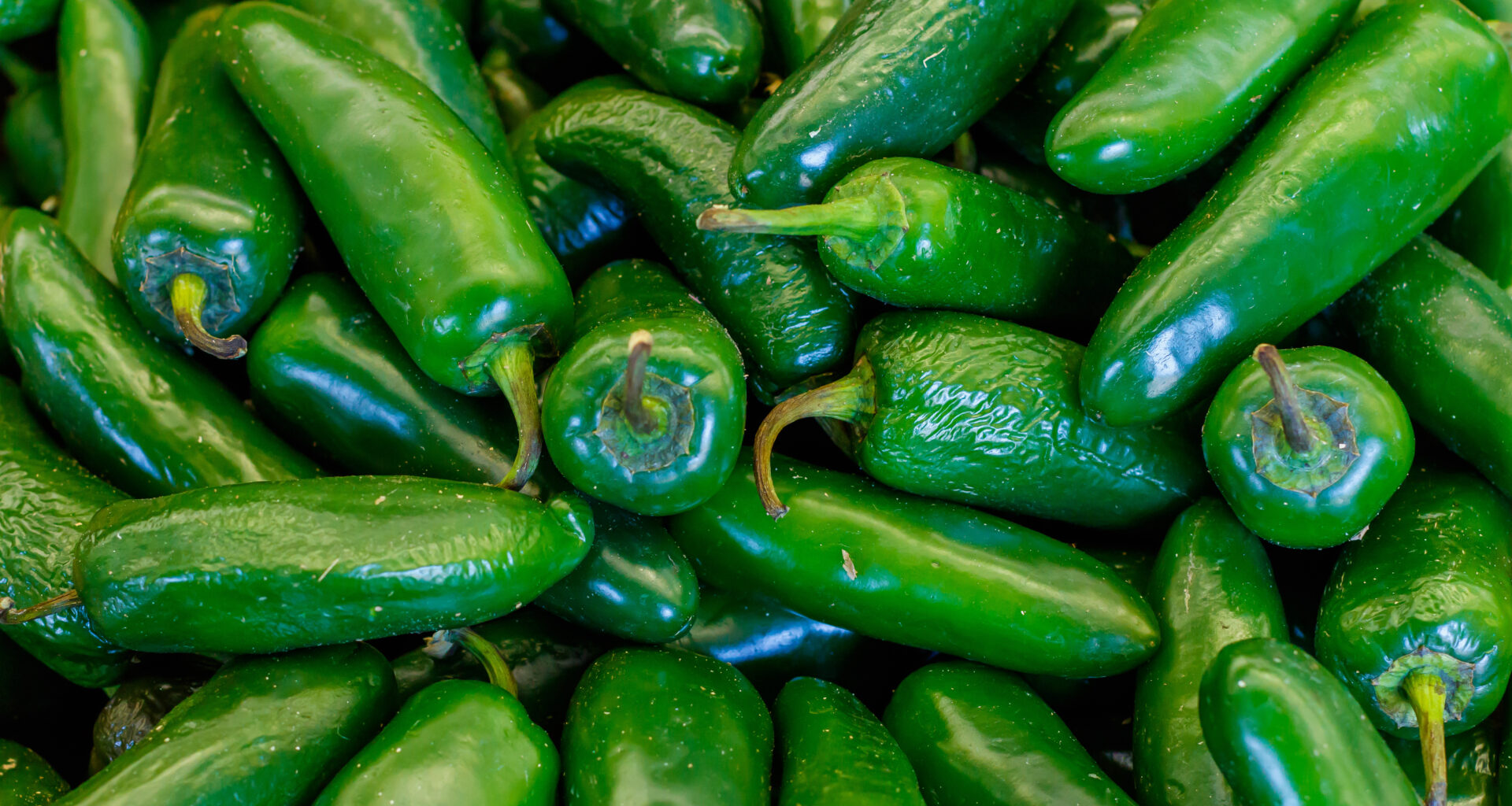 Foodborne illnesses are rising. What not to eat right now.