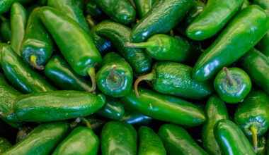 Foodborne illnesses are rising. What not to eat right now.