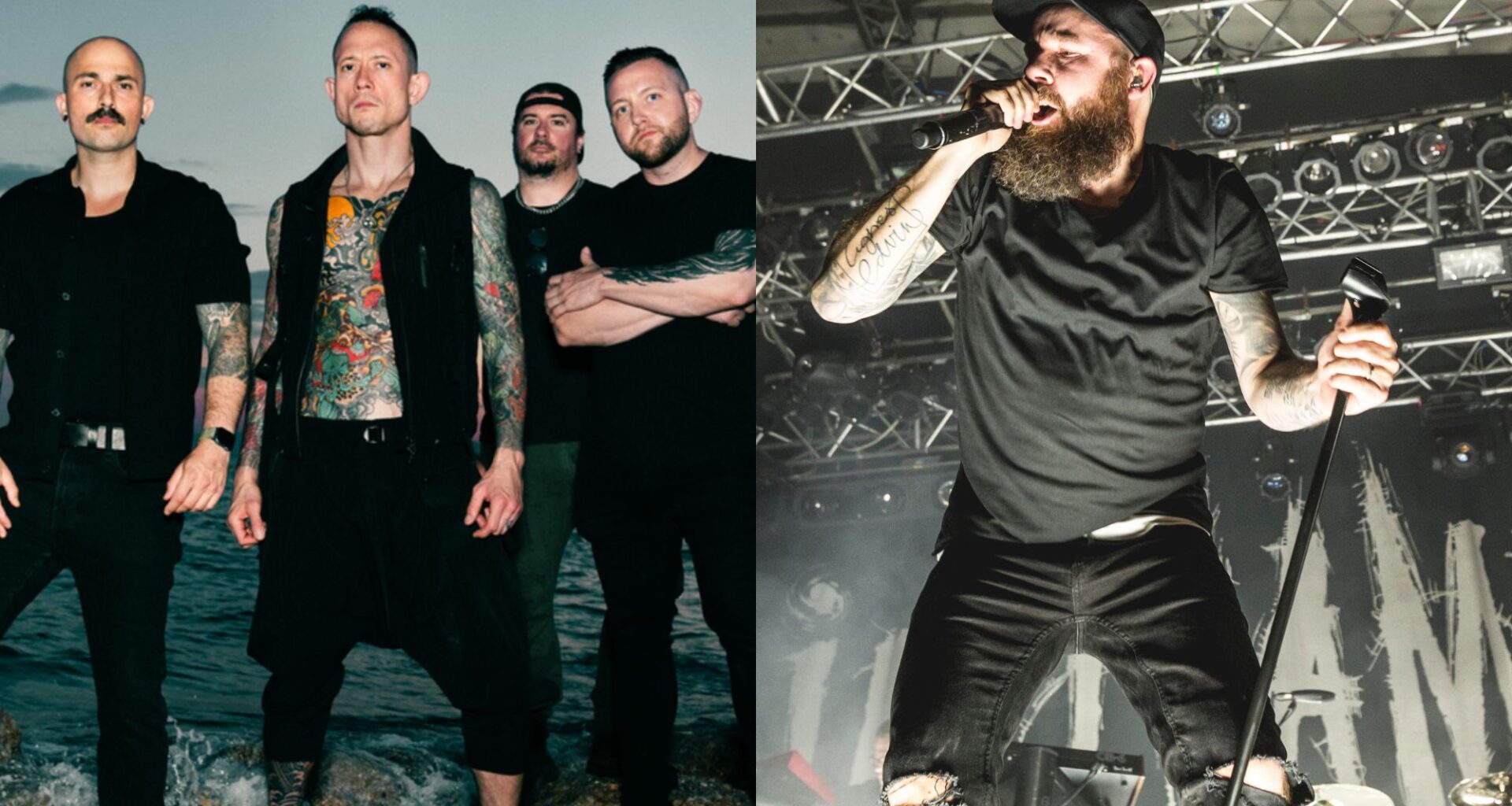 Quiet Light (2026), photo by Sophia Liv Maguire