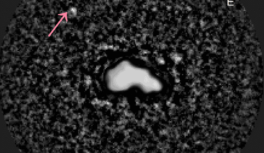 Asteroid (44) Nysa imaged with the SHARK-VIS instrument on the Large Binocular Telescope. The tiny moon S/2026 (44) 1, arrowed, was pulled from the asteroid's glare using techniques borrowed from exoplanet hunting (Credit : SHARK-VIS/LBT Observatory)