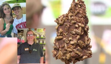 Dry days, dried bugs are back: Fairgoers, vendors reflect one year after flood