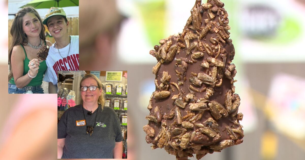 Dry days, dried bugs are back: Fairgoers, vendors reflect one year after flood