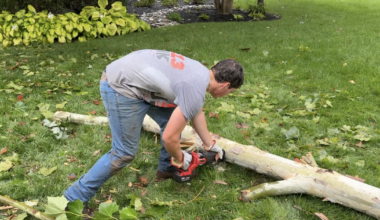 Downed trees, storm debris leave Tri-State cleanup underway in Loveland