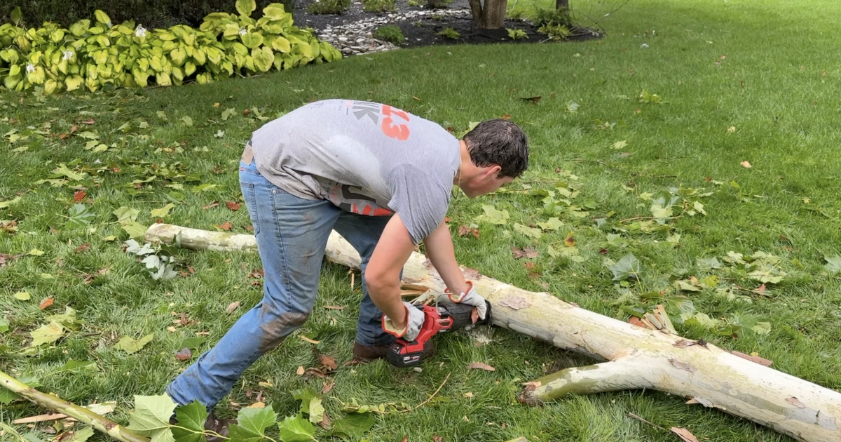 Downed trees, storm debris leave Tri-State cleanup underway in Loveland